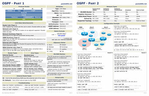 tn_OSPF.pdf